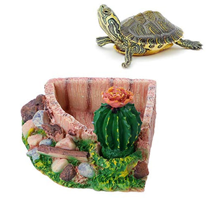 Reptile Resin Corner Water Dish - Reptile Corner Bowl for Tortoise Lizard Bearded Leopard Gecko Snake Chameleon - Cactus