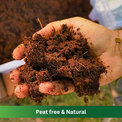 Premium Coco Coir by PlantoCare – Professional Grade Coconut Coir Growing Medium, pH Neutral & Low EC – Ideal for Seed Starters, Potting Mix, Hydroponics & Houseplants [5 Bricks of 650 Grams Each] - style: 5 Bricks (650 gram each)