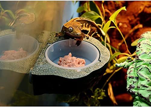 Magnetic Reptile Feeding Cup Feeder Ledge Cups Food Dish Water Bowl for Gecko Lizard Turtle (Green)