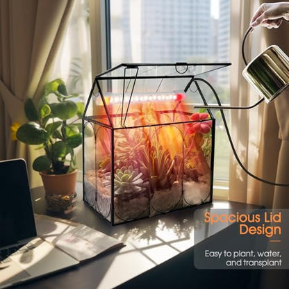Plant Terrarium Kit with Grow Light, Rifny Large Glass Terrarium Jar with Absorbent Mat and Lid for Venus Fly Trap Succulent Live Air Plants Indoor Home Office Decor (Black, 8.9 x 5.9 x 9.9 inch) - size: Black-Large with Plant Light