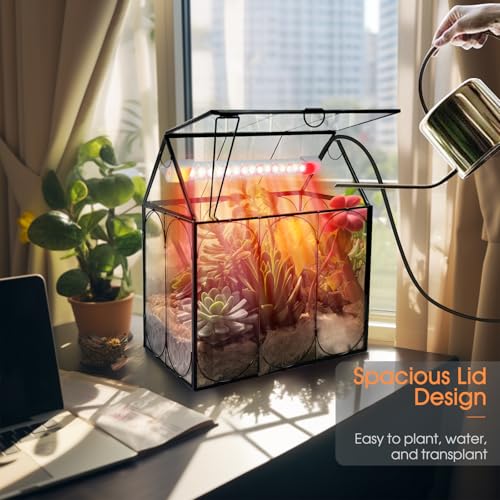 Plant Terrarium Kit with Grow Light, Rifny Large Glass Terrarium Jar with Absorbent Mat and Lid for Venus Fly Trap Succulent Live Air Plants Indoor Home Office Decor (Black, 8.9 x 5.9 x 9.9 inch) - size: Black-Large with Plant Light