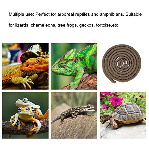 Artificial Reptile Climbing Branch Flexible Jungle 9.84ft Rattan Vine Habitat Decor Suitable for Reptiles (L)