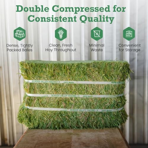 Border Valley Orchard Grass Hay Bale in Bag, 40 lb - Soft High Fiber Hay for Rabbits, Guinea Pigs, Chinchillas, Tortoises, Horses and Livestock - Leafy Grass Hay, Farm-to-Home Freshness