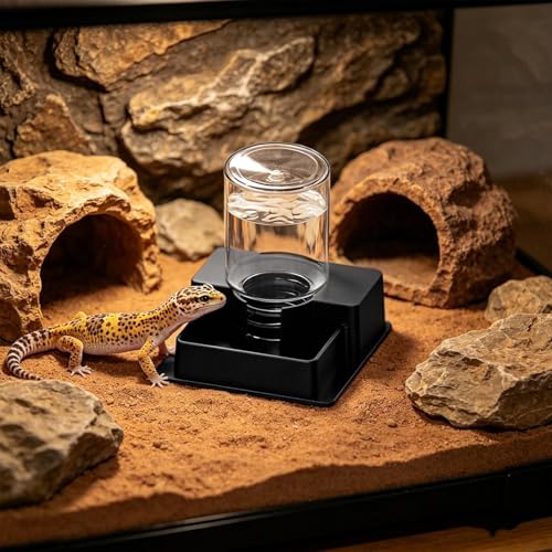 Genérico Turtle Drinker - Automatic Anti-Leak | Automatic Water Dispenser for Turtle - Indoor Garden Patio Backyard Tank Aquarium Gecko Snake Bearded Dragon - color: millimeters