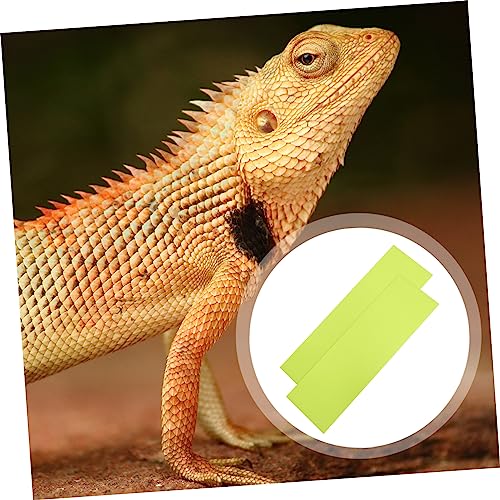 Toyvian 2pcs Reptile Carpet Mat Washable Terrarium Bedding for Snakes Turtles Lizards More Reptile Floor Liner for Tanks