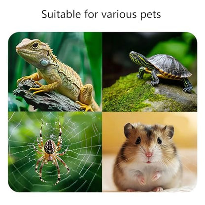 Reptile Auto Refill Water Dispenser, Quiet Operation Clear Monitor for Turtles, Lizards & Pets - color: A