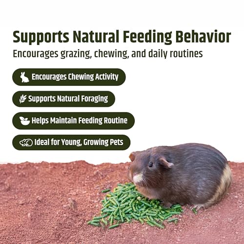 High Desert Delight Alfalfa Pellets, Protein Rich Small Animal Food for Young Rabbits Guinea Pigs and Small Pets, Natural Fiber Alfalfa Hay Pellets for Digestive Health, Fresh Hand Packed 63 oz Bag - size: 4 Pound (Pack of 1)