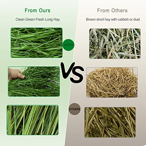 Timothy Hay, 6.6LBS Small Pet Feed | Hand selected natural fresh timothy hay, for rabbits, guinea pigs, chinchillas, 6 packs of 1.1lbs each
