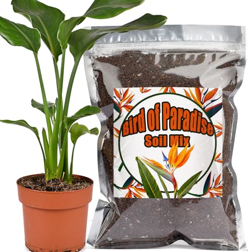 Organic Bird of Paradise Potting Soil Mix 2qt, Ideal for Indoor/Outdoor Potted Plants, Promotes Optimal Growth for Bird of Paradise - size: 2qt