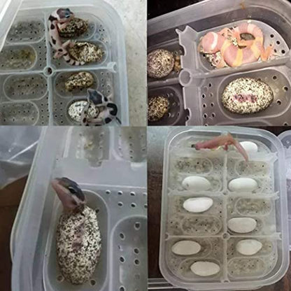 Reptile Incubation Box Reptile Incubator Egg Tray Hatching Box with 12 Grids for Turtle Gecko Lizards Mane, Reptile Hatching Box, standard, style 1