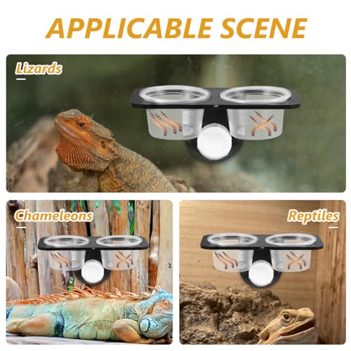 balacoo Reptile Feeder Food and Water Bowl with Suction Cup Wall Mounted Acrylic Dish for Gecko Lizard Turtle Scorpion Small Reptiles Amphibians 4.52X2.36X2.16In