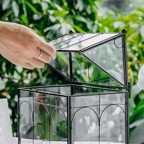 NCYP Glass Terrarium with Lid for Cacti, Succulents, Small Plants - 7.5 x 4.9 x 9 inches Closed Geometric Planter Box - Home Indoor Tabletop House Shape Decorative, Black (Terrarium Only)