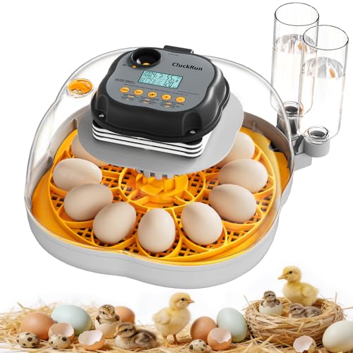 Chicken & Quail Egg Incubator, 12 Egg Incubators for Hatching Eggs, Two Egg Trays, Automatic Egg Turning with Auto Stop, Incubation Day & Period, Auto Refill, Egg Candler, Air Vent, 360° Clear View - size: 12 Eggs + 30 Quail Eggs