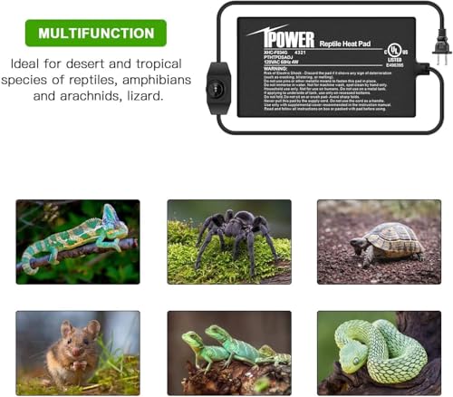 iPower 4 by 7-Inch Reptile Heat Mat with Temperature Adjustable Controller Knob, LCD Digital Aquarium Thermometer, Under Tank Warmer Terrarium Heat Pad for Reptiles and Amphibians - size: 4" x 7", style: Heat Pad with Adjust Knob+ Thermometer
