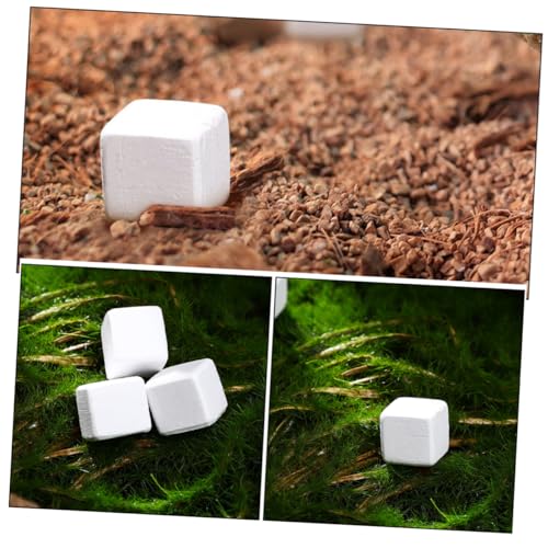 UKCOCO 30pcs Natural for Tortoise Frog Chameleon for Reptile Growth Enhances Water Quality Vitality for Reptiles and Amphibians