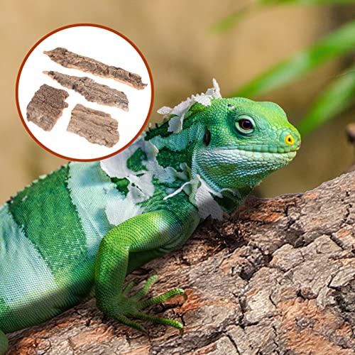 balacoo 16pcs Natural Tree Bark Climbing Decoration for Reptiles Turtle Basking Platforms Terrarium Decor for Snakes Lizards Crawling Pets Creates Natural Environment