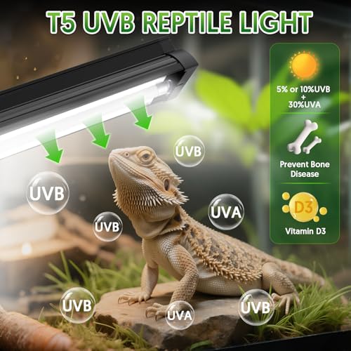 QZQ T5 UVB Reptile Light Fixture Combo Kit 8W, UVB Light for Reptiles with Switchable 5.0 & 10.0 UVB Output, Terrarium Hood Lamp for Bearded Dragon, Snake, Gecko, Tortoise, Lizard - size: 8W-5.0&10.0-12.4IN