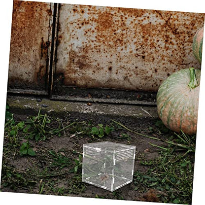 Toddmomy Acrylic Reptile Breeding Box Transparent Design Climbing Container for Turtles Spiders Snakes and Crabs Spacious Habitat for Feeding and Observation