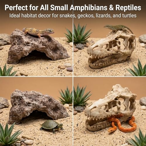 Anxingo Reptile Rock Reptile Cave Hideout for Snakes/Geckos/Lizards/Turtles and Other Amphibians, with Dinosaur Skull (Large) - size: L