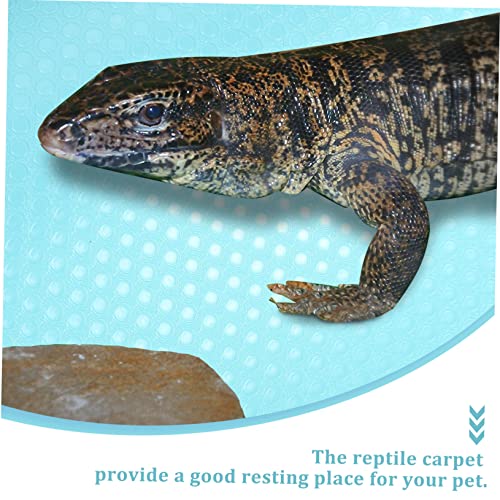 Sosoport Reptile Carpet for Bearded Dragon Snake Lizard Tortoise Leopard Gecko Sphagnum Moss Alternative
