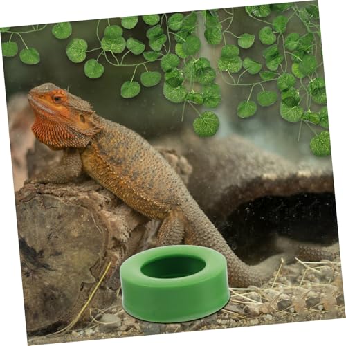 YARNOW 6pcs Reptile Feeding Bowl Spill-Resistant Design Escape Prevention for Bearded Dragons Geckos Lizards Detachable Bottom Easy to Clean Small Reptile Food Dish