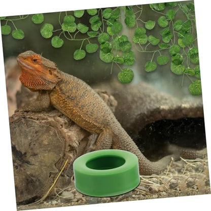 YARNOW 6pcs Reptile Feeding Bowl Spill-Resistant Design Escape Prevention for Bearded Dragons Geckos Lizards Detachable Bottom Easy to Clean Small Reptile Food Dish
