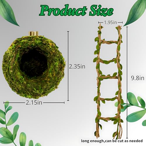 Jumping Spider Hideout, Habitat Decor— Handmade Moss Hideout & Hemp Rope Bridge, Fun Enclosure Accessories for Climbing & Hiding