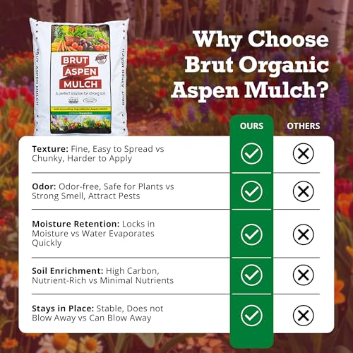 Brut Organic Aspen Mulch 10 QT – Natural Moisture Retainer & Root Protector – Odor-Free, Nutrient-Rich Bark Mulch for Landscaping, Garden Beds & Potted Plants - size: 10 QT