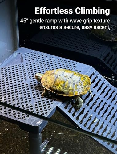 SolidForm Turtle Basking Platform with Ramp, Built-in Food Tray, Zero Zip-Tied, Non-Slip Ramp, 2 Adjustable Height Turtles Dock, for 25–75 Gallon Aquariums(11-in Width) Turtle Tank Accessories - size: Medium（10×7.8inches）