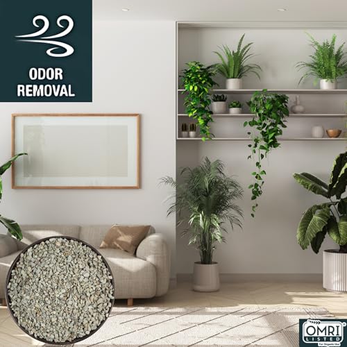 Zeolite Regular 24 lbs, Clinoptilolite 1/8"–1/4" (3–6 mm), Soil Amendment for Succulents, Bonsai & Plants, Improves Drainage and Moisture Balance, Decorative and Aquarium Use - style: Regular - 24 lbs