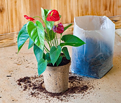 Potting Soil (≈30 Quarts) - 3 Pack of 10 Quart Pop up Bags - Pro Coco Coir Potting Soil for Plants and Seed Starting