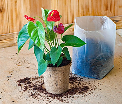 EnRoot Products LLC SpongEase 10 Quart - Coco Coir, The Perfect Potting Soil - for Plants, Seed Starting and cuttings - in Pop up Bag