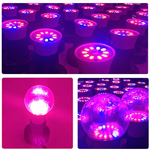Grow Light Bulbs for Indoor Plants - Full Spectrum E26 A19 LED Lamp Bulb 12W - Balanced Spectrum 5000K with Red & Blue Light for Seeds, Greens, Hydroponics - 2 Pack