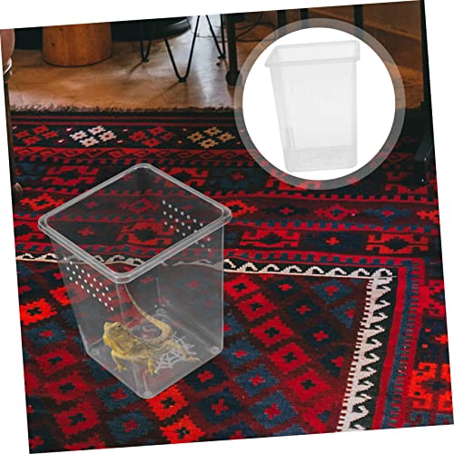 BESPORTBLE 3pcs Spider Habitat Boxes Small Reptile Enclosures for Tarantula Scorpion Gecko Lightweight Feeding Bins Ventilation for Optimal Pet Growth