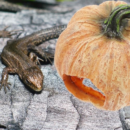 Amosfun Resin Pumpkin Reptile Hideout 3-Inch Terrarium Decor for Lizards Frogs Turtles Naturalistic Reptile Tank Shelter Cave