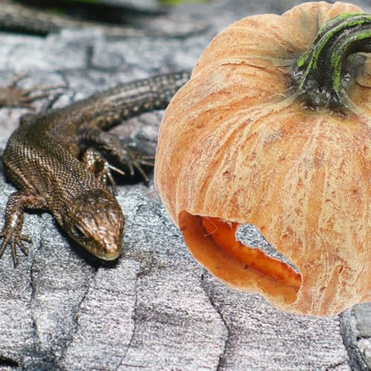 Amosfun Resin Pumpkin Reptile Hideout 3-Inch Terrarium Decor for Lizards Frogs Turtles Naturalistic Reptile Tank Shelter Cave