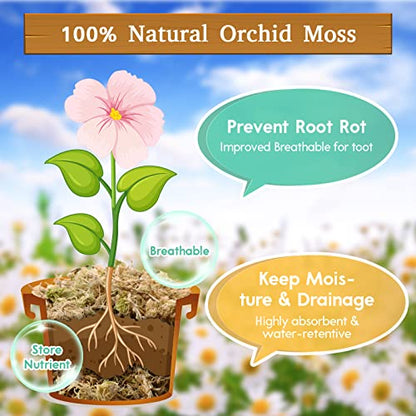 Riare 1.1 LBS Premium Sphagnum Moss- Natural Long Fibered Sphagnum Peat Moss Plants Moss Dried, Carnivorous Plants Moss Orchid Potting Mix for Orchids, Succulent, Reptiles (20QT) - size: 20QT/1.1lbs