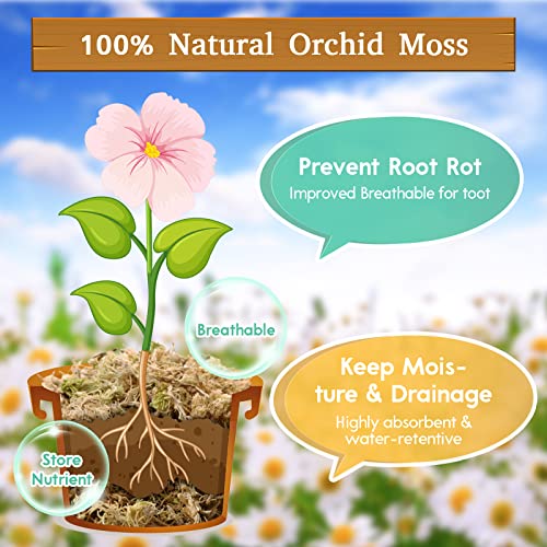 Riare 5.3 OZ Premium Sphagnum Moss for Plants- 6QT Natural Long Fiber Sphagnum Peat Moss Dried, Plants Moss Orchid Potting Mix for Orchids Repotting, Carnivorous Succulent Potted Plants and Reptiles - size: 6QT/5.3oz