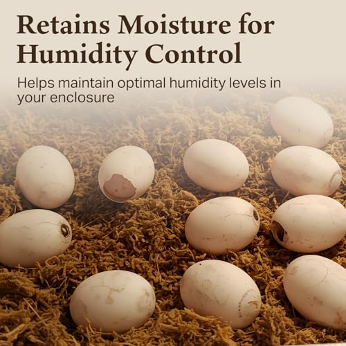 The Habitat Life - Natural Sphagnum Moss - for Reptiles, Amphibians & Invertebrates Terrariums - Humidity Control - Ideal for Burrowing & Nesting - Dye-Free & Safe - Small - 1 Pack - size: Small, style: Sphagnum Moss