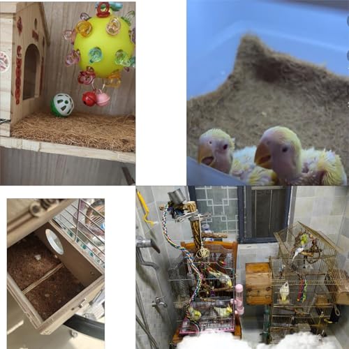6 Pack Natural Coconut Fiber Reptile Carpet Laying Hen Nest Box Pads 10 x10 Nesting Box Liners for Lizard, Snake, Turtle, Birds, Bunny Habitat