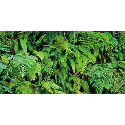 AWERT 48x24 inches Tropical Plants Terrarium Background Tropical Leaves Aquarium Background Rainforest Reptile Habitat Background Polyester Background