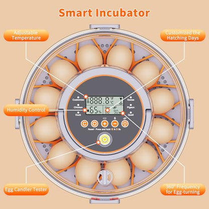 Egg Incubators for Hatching Eggs for Home, Classroom and Lab | 12 Incubator for Chicken Eggs,Duck,Goose,Quail,Snake,Egg Incubator with Automatic Egg Turning and Humidity Control