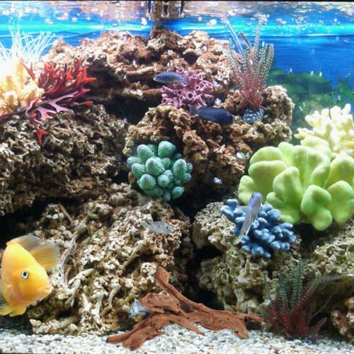POPETPOP Natural Dead Wood Aquarium Decor Fish Tank Dead Wood Craft with Stable Wide Base 9.84 X 5.90 X 4.72 in Driftwood Ornament for Aquarium Reptile Tank Home and Study