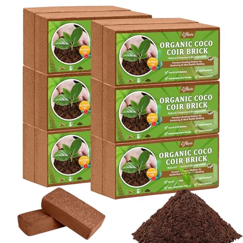 Riare 12pcs Organic Coco Coir Bricks Soil Blocks- 100% Natural Compressed Coco Peat Brick Coconut Fiber Substrate with Low EC& pH Balance, High Expansion Coco Coir Pith Coconut Husk for Garden - color: Pack of 12