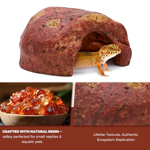 3-in-1 Desert Theme Reptile Rock Cave Hide for Leopard Gecko & Snake - Naturalistic Tank Habitat Decor Set with Cactus Model, Interactive Warning Sign & Moist Hideout (Small Size)
