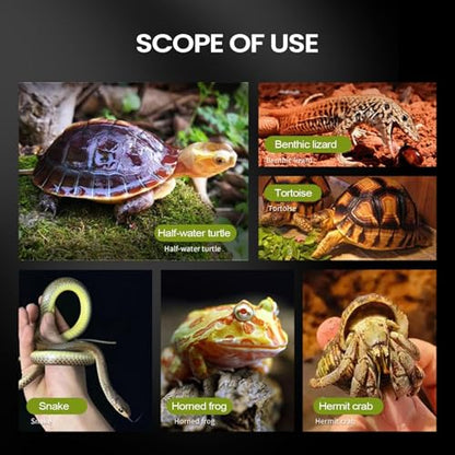 Tortoise Hydration Station - Automatic Lizard Water Feeder for Bearded Dragon with Wide Mouth Jar | Leak Proof ABS Hydration Station, Snake Tortoise Gecko Tank Indoor Backyard Accessory Large - size: L