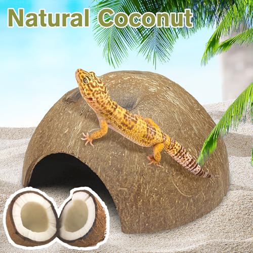 Hamiledyi 7 Pcs Reptile Hideouts Natural Coconut Shells Hut Leopard Gecko Tank Accessories for Aquarium Fish Hermit Crab Hide Cave Small Snake Tarantulas Lizard Chameleon (Without Fiber)