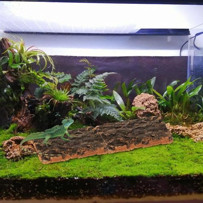 SOIMISS 5 Pcs Reptile Tank Background Cork Bark Sheets for Terrarium Tree Bark Decor Hide Log for Gecko Bearded Dragon Turtle and Lizard Enclosures 5.90 X 5.90 X 0.78 in