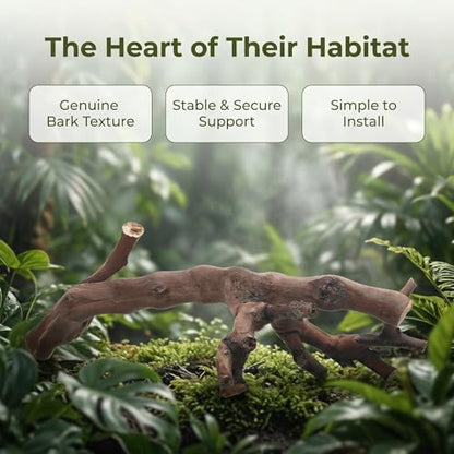 Kisangel 2pcs Snake Climbing Branch, Reptile Tank Natural Wood Cork Log, Reptile Basking Branch for Lizard, Frog, Gecko Terrarium Accessories