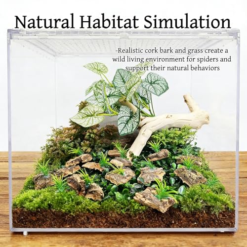 20 Pieces Tarantula Enclosure Decor Cork Bark Hide with Natural Grasses Jumping Spider Accessories Tarantula Hide and Reptile Habitat Supplies